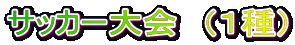 サッカー大会　（１種）