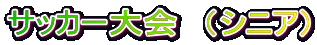 サッカー大会　（シニア）